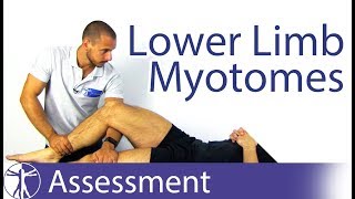 Myotomes Lower Limb  Peripheral Neurological Examination [upl. by Nine]