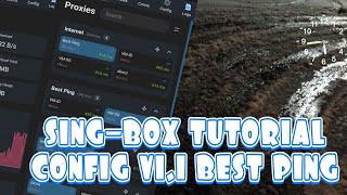 TUTORIAL SINGBOX GROUP BEST PING  BOX FOR MAGISK [upl. by Nilak]