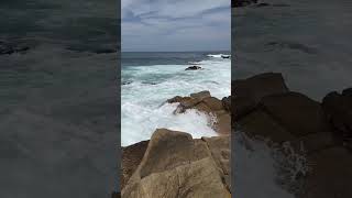 Mossel bay ocean gardenroute [upl. by Archangel]