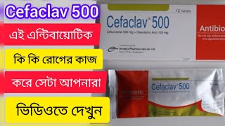 Cefaclav 500 Tablet এর কাজ কি সেফাক্লাভ ৫০০ ট্যাবলেট [upl. by Stella]