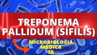 TREPONEMA PALLIDUM SÍFILIS  MICROBIOLOGIA MÉDICA  AULA 18 [upl. by Milman544]