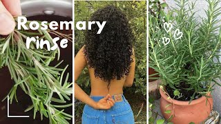 ROSEMARY HAIR GROWTH RINSE REFRESHING MY HAIR WITH HERBS [upl. by Par]