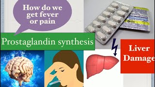 Paracetamol  Mechanism of action toxicity dosage  Acetaminophen [upl. by Labaw175]