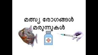 Ornamental fish diseases [upl. by Solracnauj]