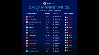 Crypto Price Nov 29 2024 [upl. by Rubbico]