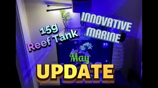 55 UPDATE Innovative Marine Nuvo Fusion 15 Gallon Simple Reef Budget Friendly [upl. by Eibloc280]