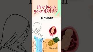 Pregnancy week by week  baby development month by month  How big is the baby now  pregnancy [upl. by Christabelle]