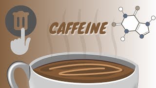 How Decaf Coffee is Made Methods pros and cons [upl. by Anuala]