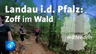 Landau in der Pfalz Zoff im Wald [upl. by Dressel]