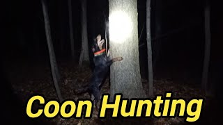 Coon Hunting  Cash put up another one [upl. by Azerila892]