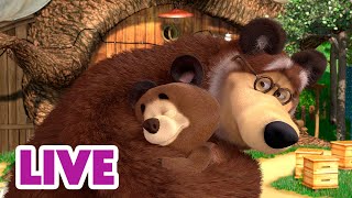 🔴 LIVE 🐻👧 Masha y el Oso 2024 👶❤️🥰 El significado de la familia 🎬 Masha and the Bear [upl. by Sollows]