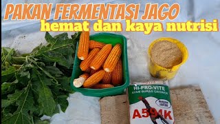 Mengungkap pembuatan pakan ayam jago praktis ekonomis dan kaya nutrisi [upl. by Alysa]