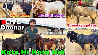 Deonar Bakra Mandi Tuesday Latest Update 29 October 2024  Kota Hi Kota Hai Deonar Main Aaj [upl. by Haily577]