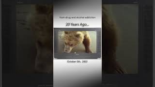 Grizzly Man is eaten by a Grizzly onthisday history 20years [upl. by Eimyaj]