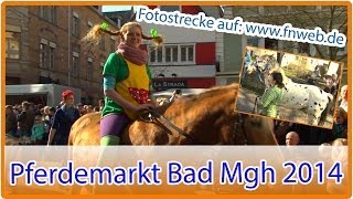 Pferdemarkt in Bad Mergentheim begeistert Tausende  by Fränkische Nachrichten [upl. by Ennalyrehc]