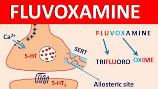 Fluvoxamine  Mechanism side effects precautions amp uses [upl. by Haidadej]