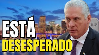 DIAZ CANEL ESTÁ DESATADO la campaña mediática 🤡 [upl. by Reifnnej]