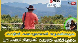 ARALAM WILDLIFE SANCTUARY PART 2 ARALAM TREKKING  ARALAM WILDLIFE SANCTUARY KANNUR [upl. by Clementi]