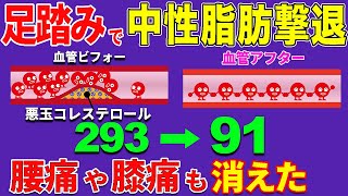 たった３０秒の貧乏ゆすりでみるみる勝手に中性脂肪やコレステロールを減らし腰痛や膝痛も改善！ [upl. by Erbua542]