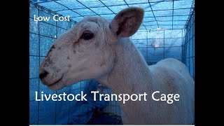 Homestead Project  Low Cost Livestock Transport Cage [upl. by Avot]