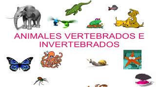 Animales vertebrados e invertebrados  segundo grado de primaria [upl. by Rednasyl]