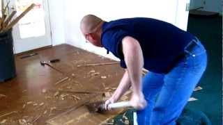 Laminate Floor Removal [upl. by Barvick]