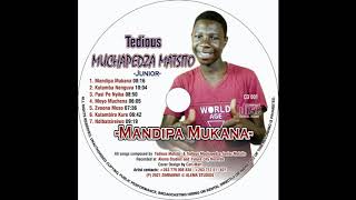 Tedious Muchapedza Matsito Jnr  Mandipa Mukana MANDIPA MUKANA ALBUM 2021 [upl. by Malkah986]