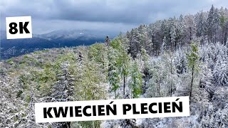 Kwiecień plecień bo przeplata trochę zimy trochę lata 8K [upl. by Ahsaf]