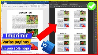 Cómo imprimir múltiples páginas en una sola hoja  REPETIR IMPRESION EN UNA SOLA HOJA VARIAS VECES [upl. by Vacuva]