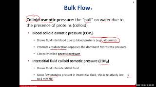 Day 10 BIO 211 720 Lecture FA2024 Circulatory System Part 2 [upl. by Stahl]