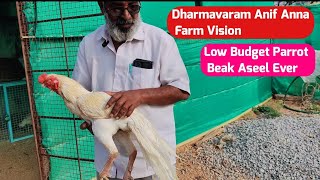 Dharmavaram Anif Anna Farm Vision [upl. by Martres]