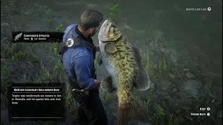 Red Dead Redemption 2  PS4  Stranger Mission 24  A Fisher of Fish Legendary Fish [upl. by Alston]