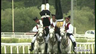 PARIGLIE DOLIANOVA cavalcata 2014 pariglie [upl. by Ahsercul893]