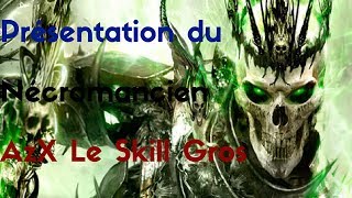 PRÉSENTATION DU NÉCROMANCIEN Diablo 3 [upl. by Aivila]