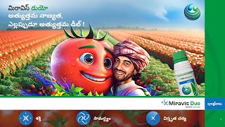 Syngenta  Miravis Duo  Tomato  Motion Poster  Telugu [upl. by Snahc897]