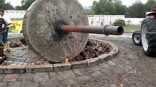 LA MOLIENDA DEL MEZCAL Proceso de trituración de plantas de agave mezcalero previamente cocido [upl. by Lauer]