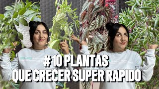 10 PLANTAS que crecen super RAPIDO nobles y fáciles de CUIDAR [upl. by Akcirre]