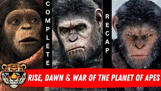 Planet of Apes timeline explained Hindi  Urdu Must watch before Kingdom of the Planet of the Apes [upl. by Norvil]