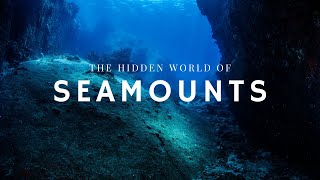 The Hidden World of Seamounts [upl. by Munro]