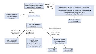 An Approach to Polyuria [upl. by Yentruoc]