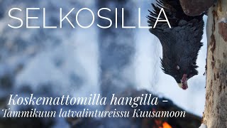 Koskemattomilla hangilla  Tammikuun latvalintureissu Kuusamoon  Selkosilla [upl. by Ettezoj]