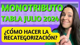 MONOTRIBUTO JULIO 2024 ​🔥​ ¿Por qué todos deben recategorizarse 😱​ [upl. by Innattirb]