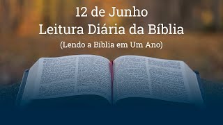 Leitura Diária da Bíblia  12 de Junho Dt 17 Sl 104 Is 44 e Ap 14 [upl. by Dorca]