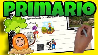 🚜 SECTOR PRIMARIO ► para NIÑOS de PRIMARIA [upl. by Yokoyama]