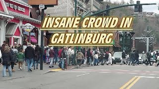 INSANE CROWD IN GATLINBURG 2024 [upl. by Rennerb]