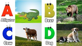 Animals ABC Song for Kids  Phonics for Kids  Alphabet Letters  Learn ABC for Kids [upl. by Long]