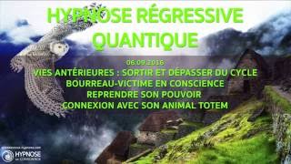 Hypnose Régressive Quantique 03  Sortir du cycle bourreauvictime Connexion Animal Totem [upl. by Akinahc501]