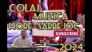 Sarbe  Hore Joc  Muzica Live de Petrecere  Colaj Nou 2 [upl. by Revart]