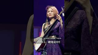 チケット発売中！ 和楽器バンド wagakkiband 日本武道館 shorts [upl. by Netram]