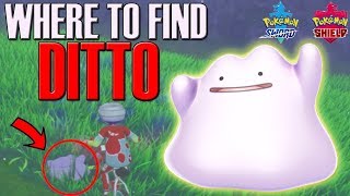 Where to find Ditto in Pokemon Sword amp Shield  Ditto Location [upl. by Tecu338]